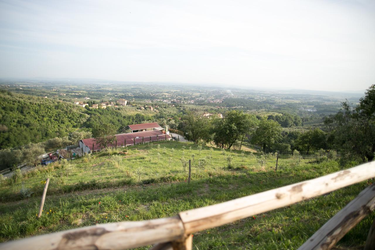 לינה וארוחת בוקר למפורקיו La Dispensa-Bio Agriturismo מראה חיצוני תמונה