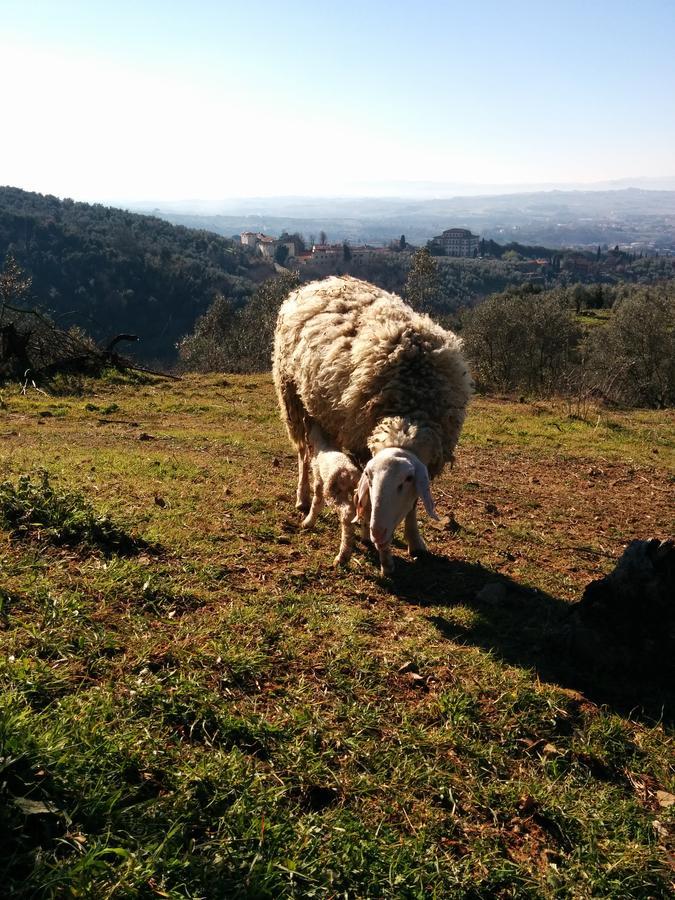 למפורקיו La Dispensa-Bio Agriturismo מראה חיצוני תמונה